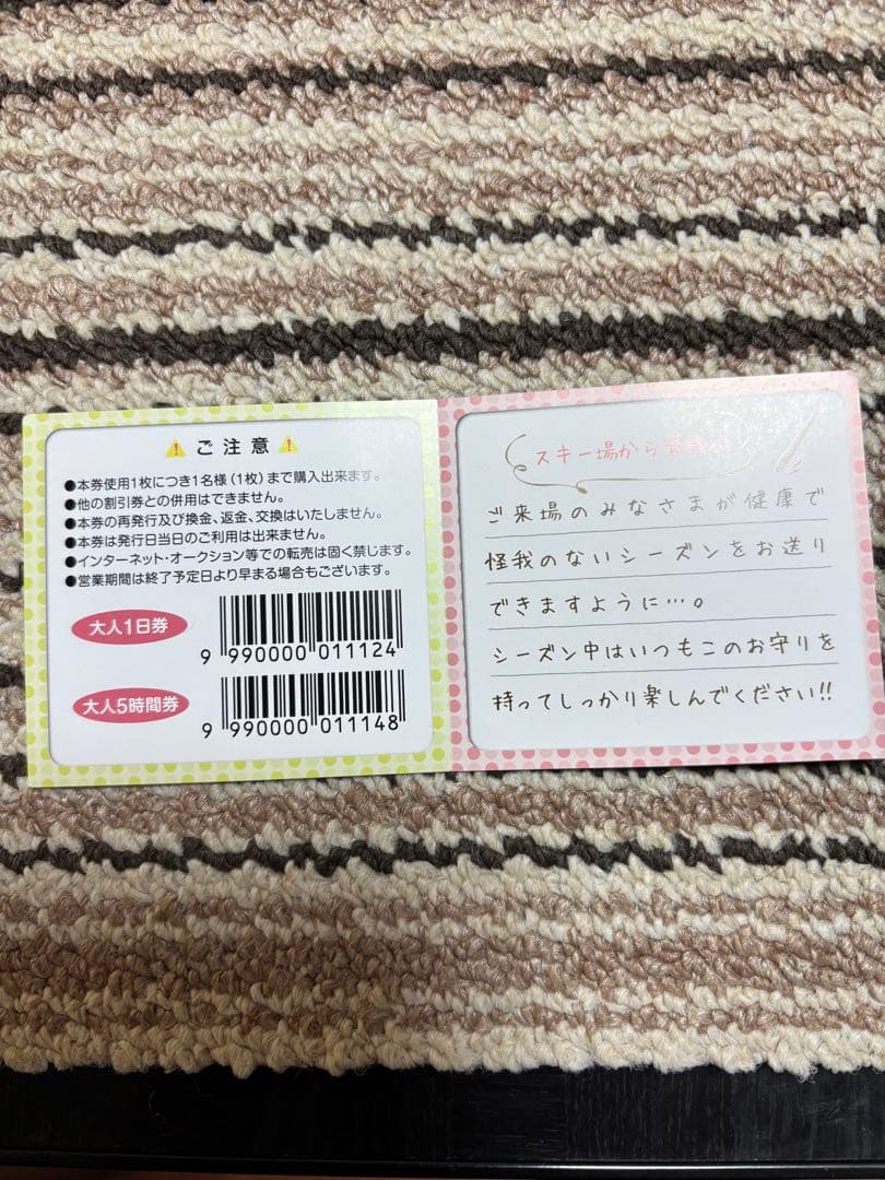大山　だいせん　小人スキーリフト券2枚セット　1000円クーポン6枚付　割引券