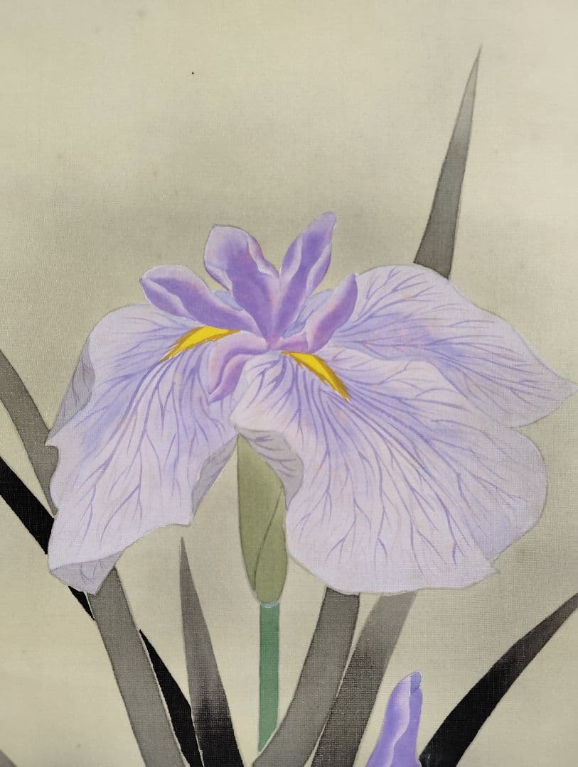 12-9　小川朝陽　菖蒲