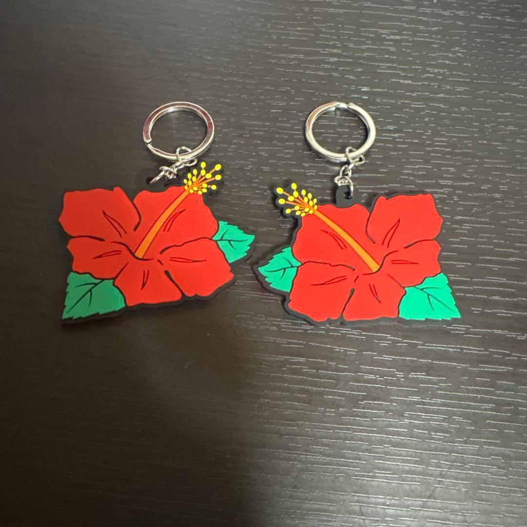 HANAHANA ラバーキーホルダー及びカチカチくんセット