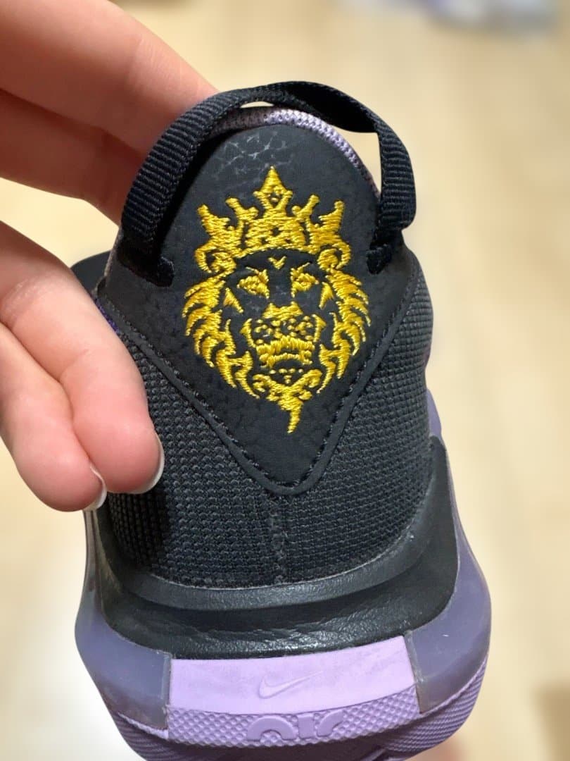 Nike レブロンウィットネス7 バスケットボールシューズ 黒