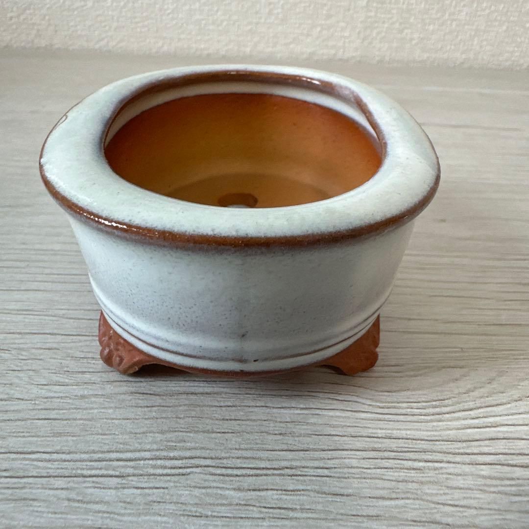 九谷陶園　盆栽鉢