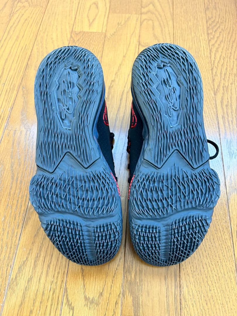 シューズ(男性用) NIKE LEBRON 17 LOW