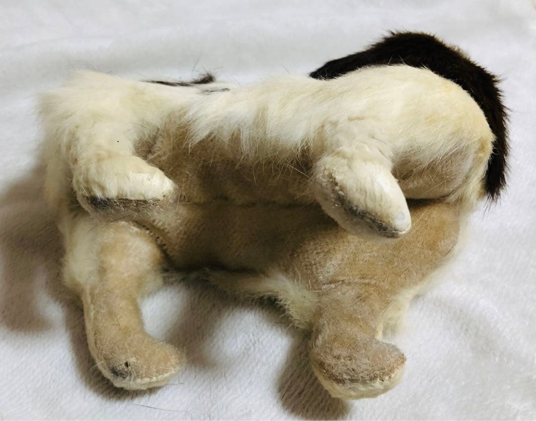 犬　チン　ラビットファー　リアルファー　KOBAYASHIぬいぐるみ　ぬいぐるみ
