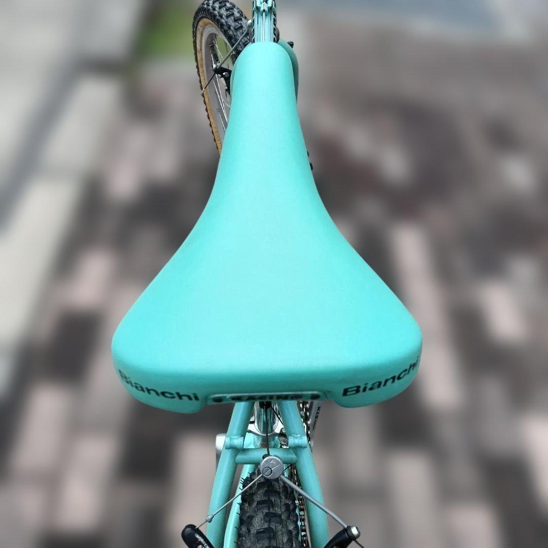 ビアンキ OSPREY クロモリMTB 26インチ 引き取り限定