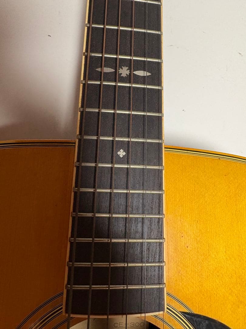 Cat's Eyes CE-300 アコースティックギター Tokai楽器