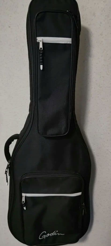 ゴダンギター　Multiac Nylon Encore