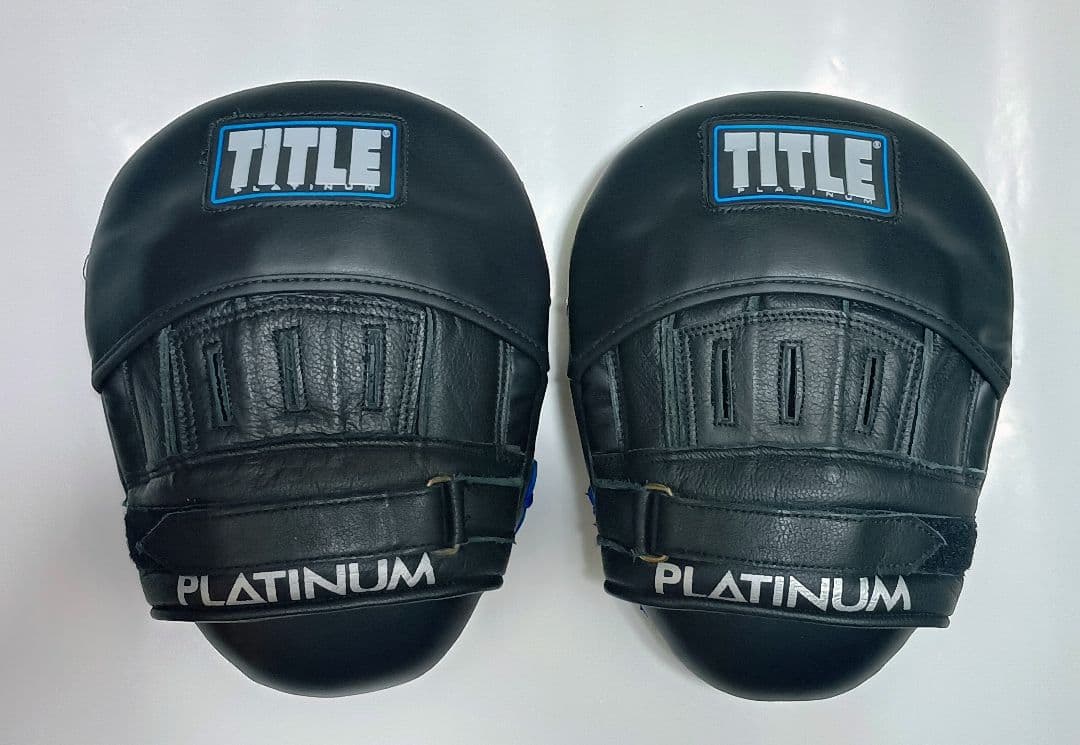 TITLE（タイトル） PLATINUM 　　　　 　パンチミット２.０
