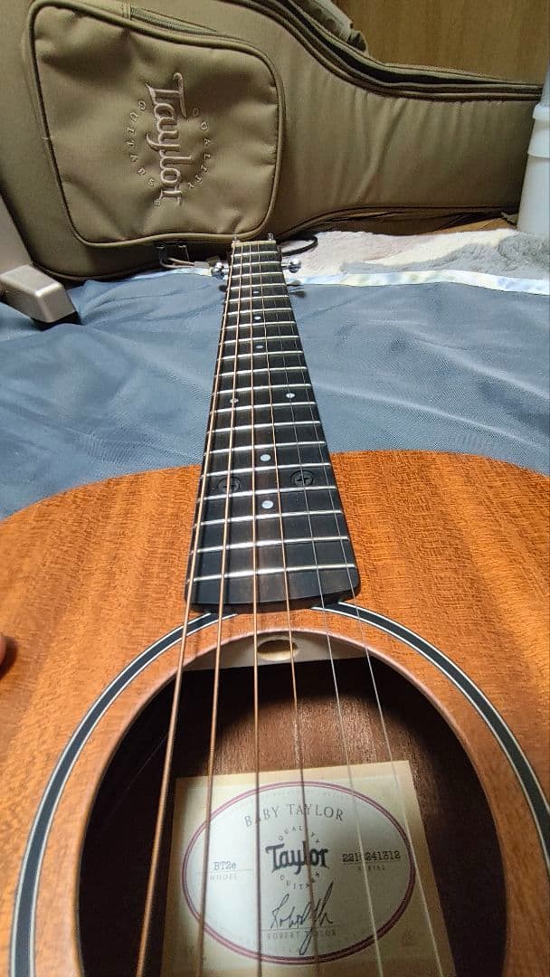 Taylor Baby Taylor BT2e エレアコミニギター 純正ケース付