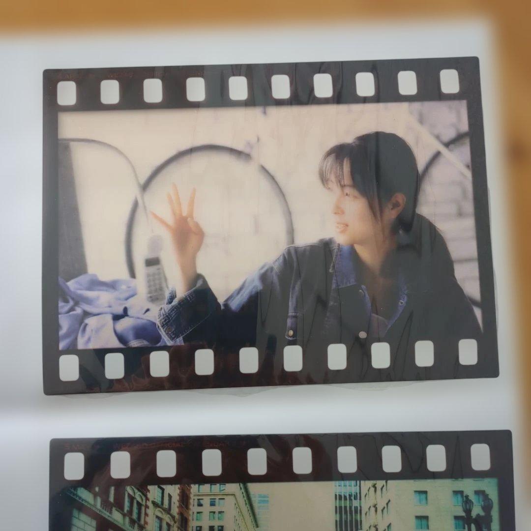 ZARD坂井泉水　2011 WEZARD フィルムスタイル 写真6枚　希少