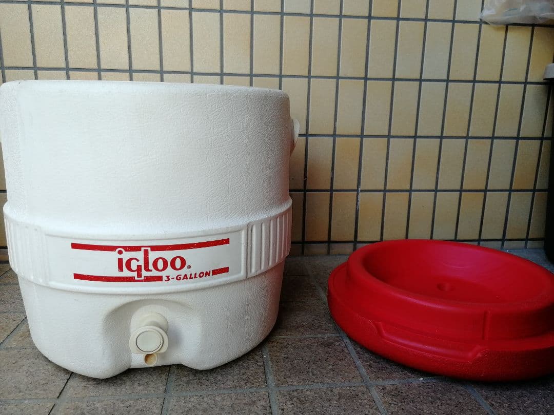 イグルー　ジャグ　ヴィンテージ　 廃盤稀少カラー