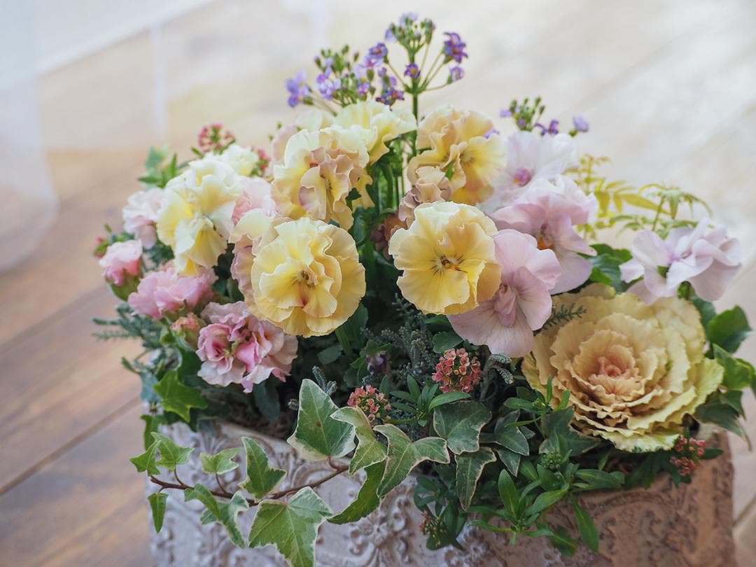 アチュードのキュートで可憐な寄せ植え