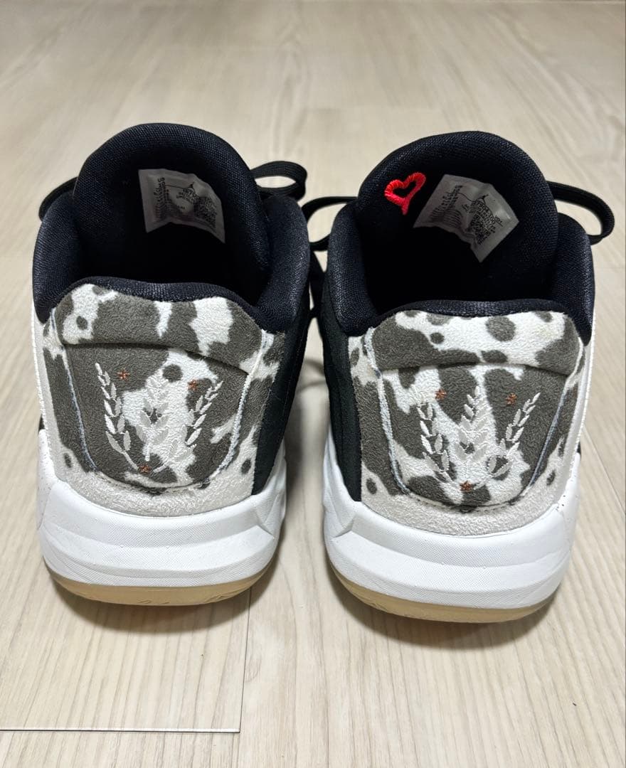 Jordan ルカ4 PF Gone Ranching
