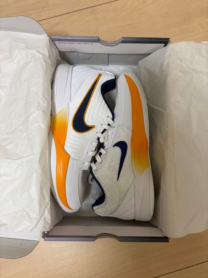 Nike バスケットボールシューズJA2