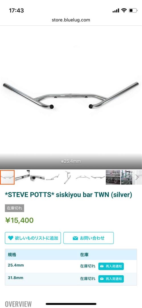 STEVE POTTS siskiyou bar (silver) ブルーラグ