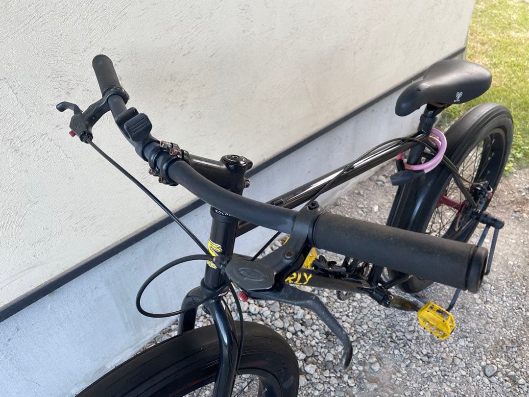 surly 1×1=11 anniversary Mサイズ　世界限定333台
