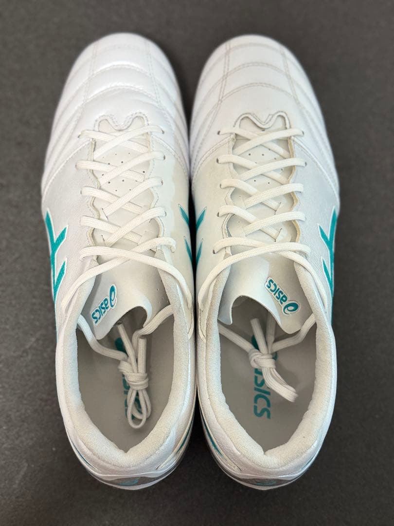 ASICS アシックス DS LIGHT PRO 27.5