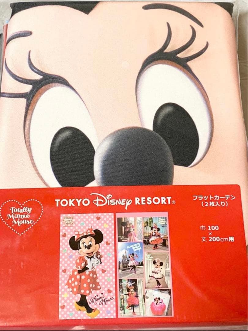 【ラスト】東京ディズニーリゾート トータリーミニーマウス カーテン クッション