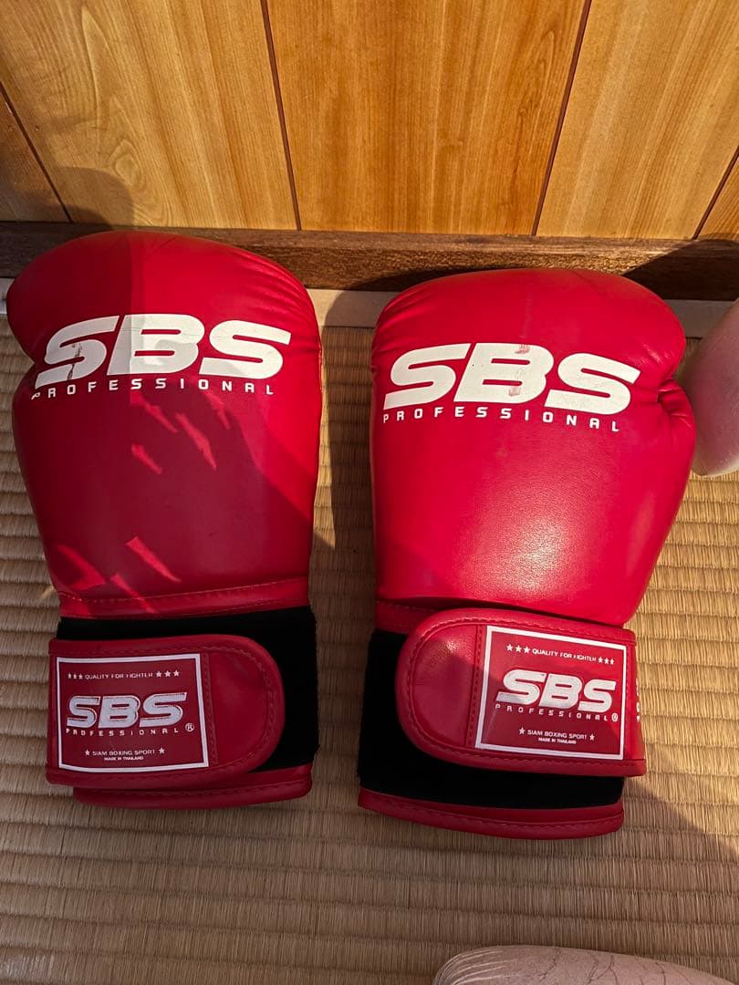 SBS プロフェッショナル ボクシンググローブ 赤