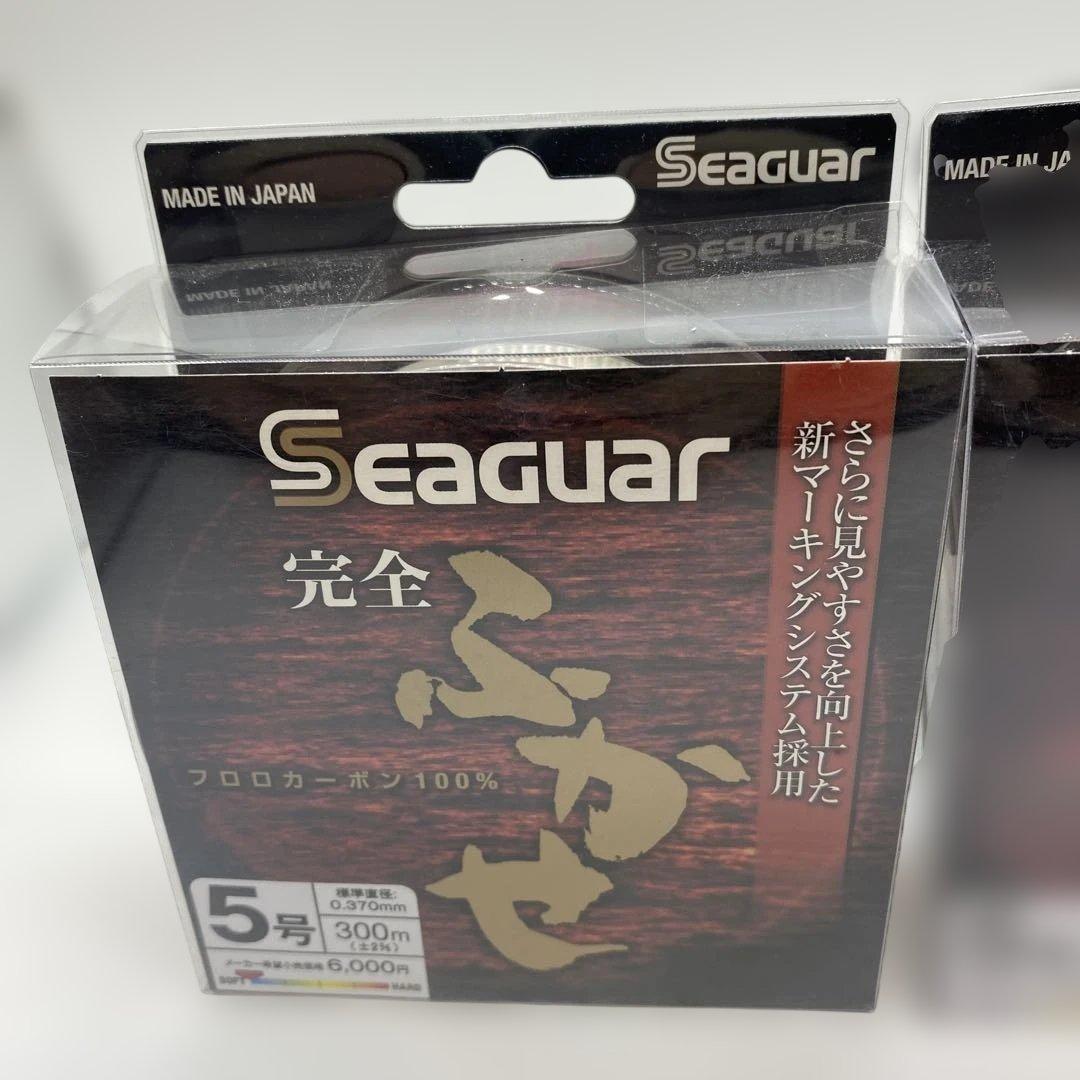 Seaguar　シーガー 完全フカセ 300m 5号 2個