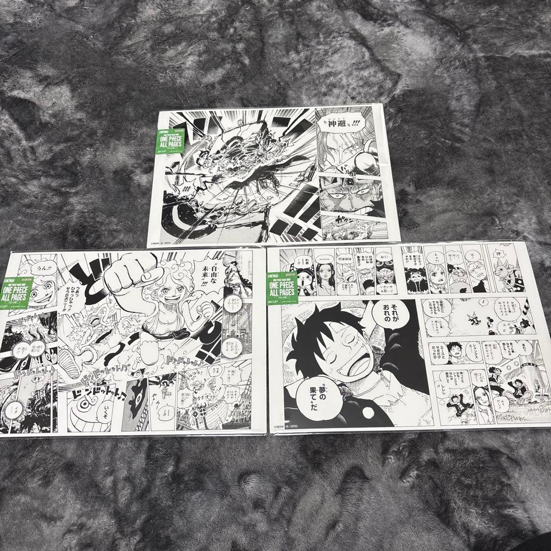 ONE PIECE BASE SHOP ALL PAGES 3枚セット