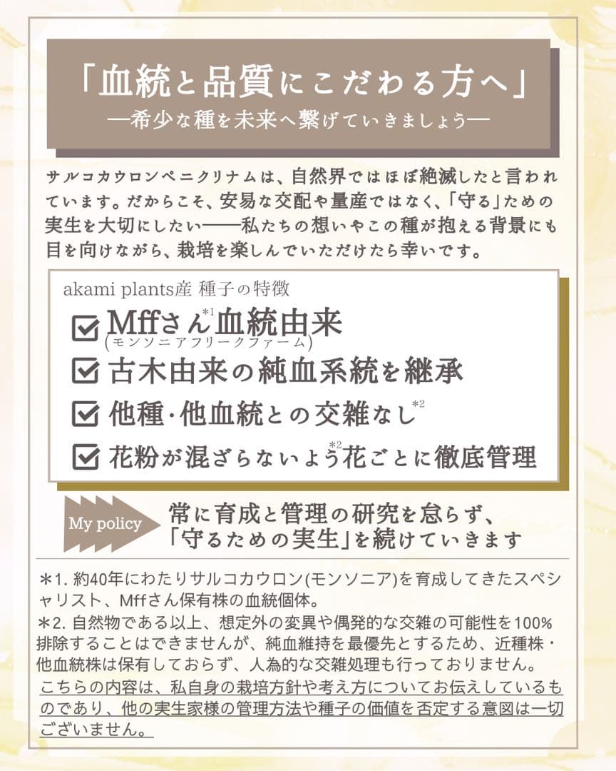 サルコカウロン ペニクリナム 自家採取種子 5粒 掛け合わせ4通り