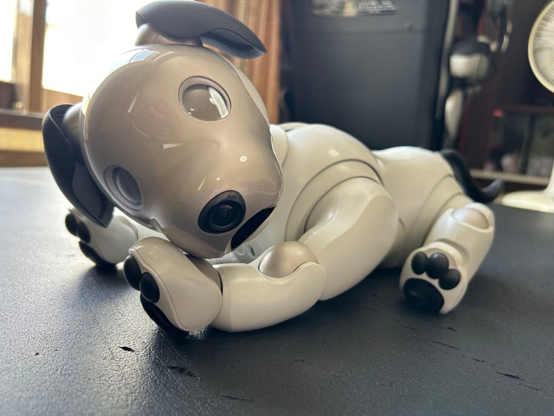 値下げaibo ERS-1000 アイボリーホワイト 初期化、メーカー検診済