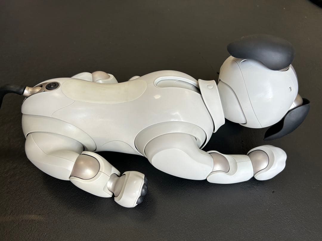 値下げaibo ERS-1000 アイボリーホワイト 初期化、メーカー検診済