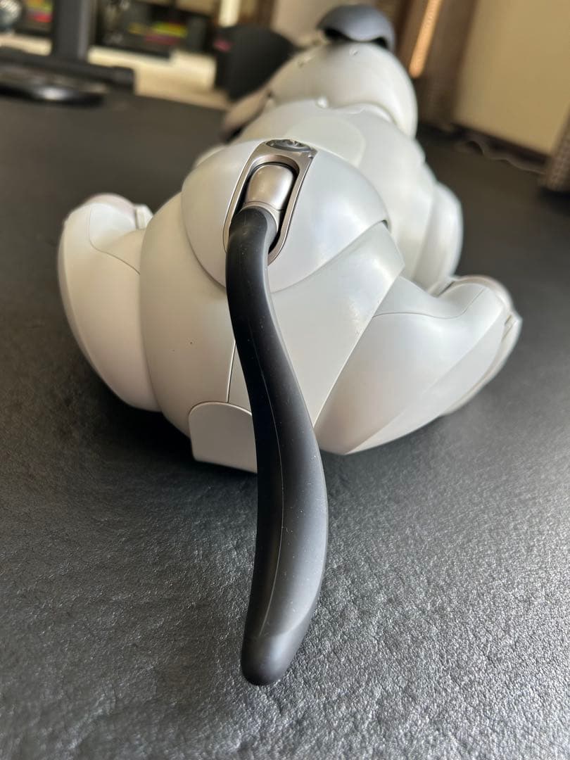値下げaibo ERS-1000 アイボリーホワイト 初期化、メーカー検診済