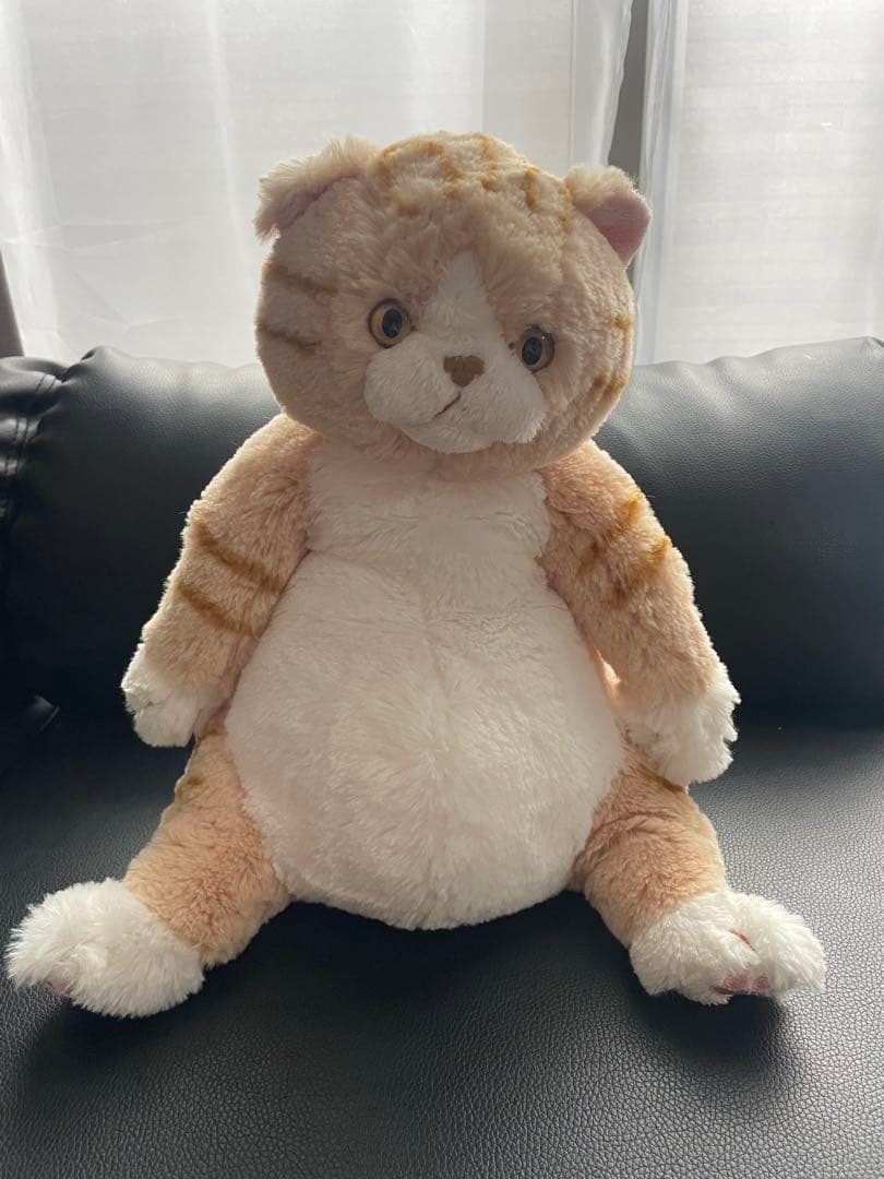 レア‼️ひざねこ 茶トラ ちゃん