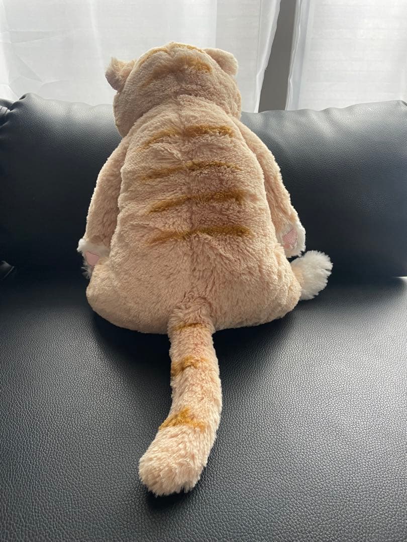 レア‼️ひざねこ 茶トラ ちゃん