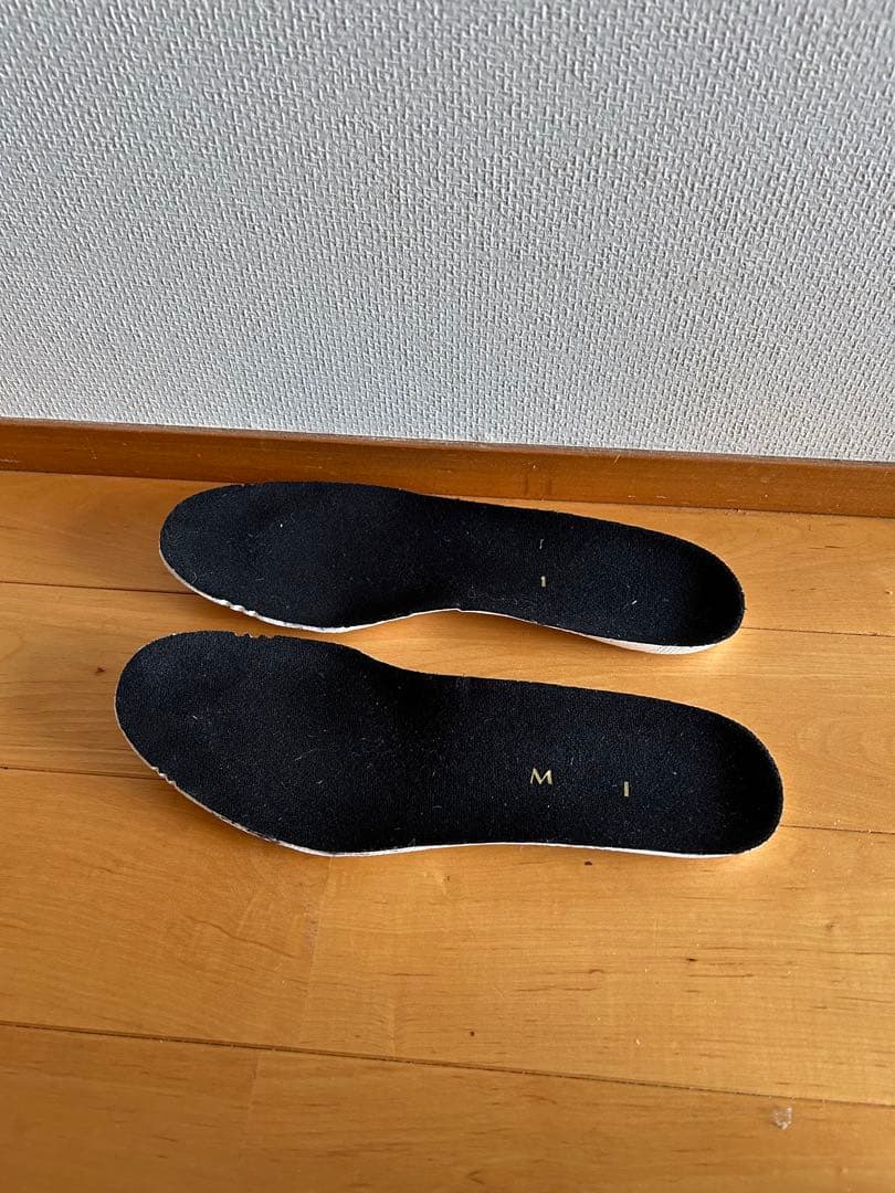 シューズ Mizuno MORELIA SALA JAPAN IN 25.0cm