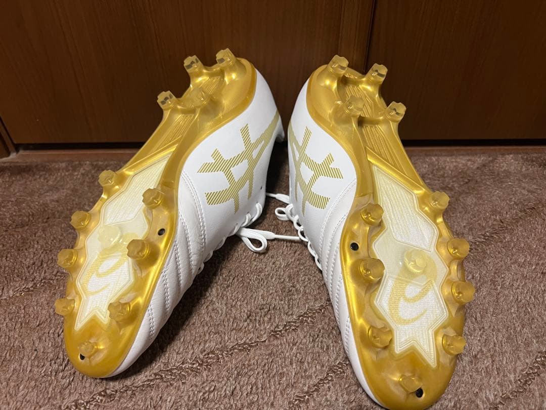 値下げ‼️ASICS DS LIGHT X-FLY PRO 26.5