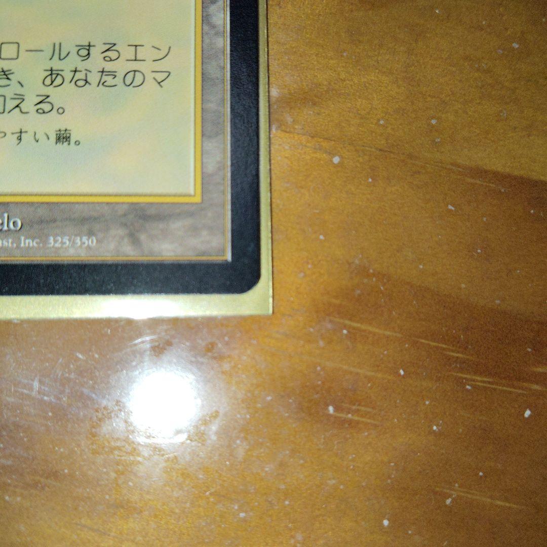 セラの聖域/Serra's Sanctum USG EN MTG