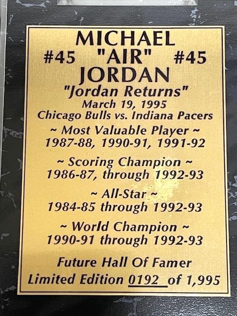新品希少JORDAN No.45リミテッドフォト&カードプレート192/1995