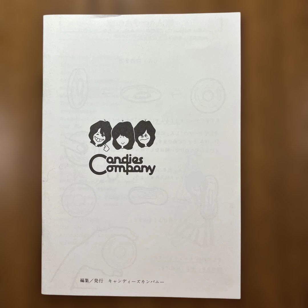 キャンディーズ　ありがとうカーニバル2008　解散30周年記念コンサートグッズ
