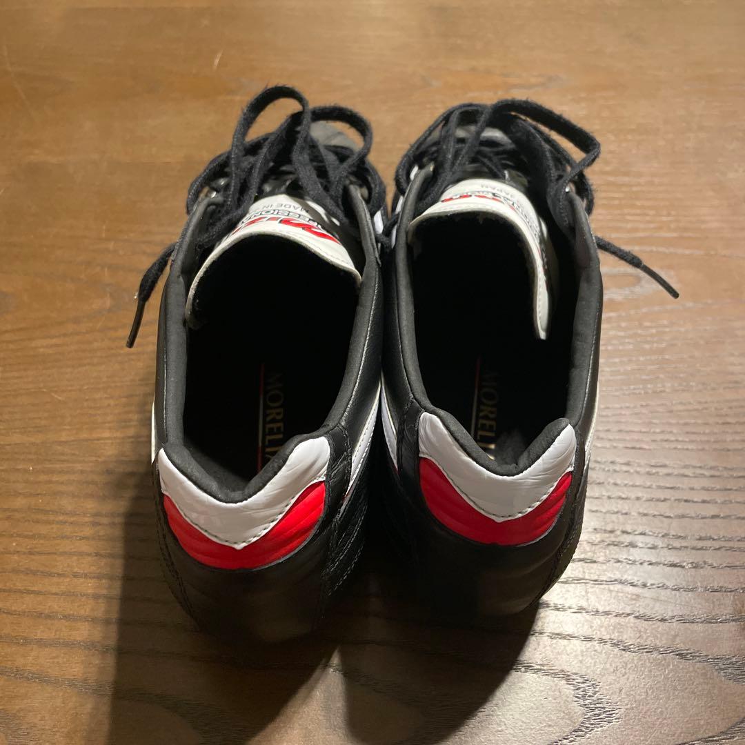【26cm】モレリア