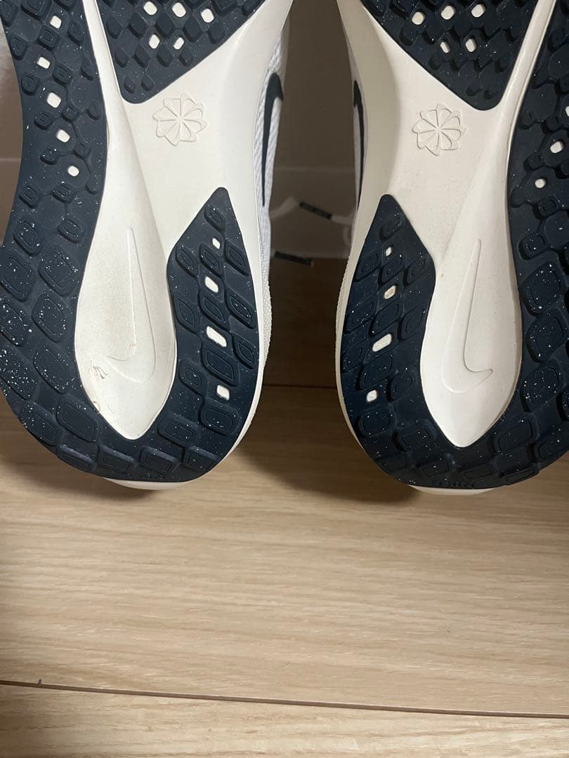 ナイキ　ズームペガサス　NIKE PEGASUS 41 PREQUEL 25