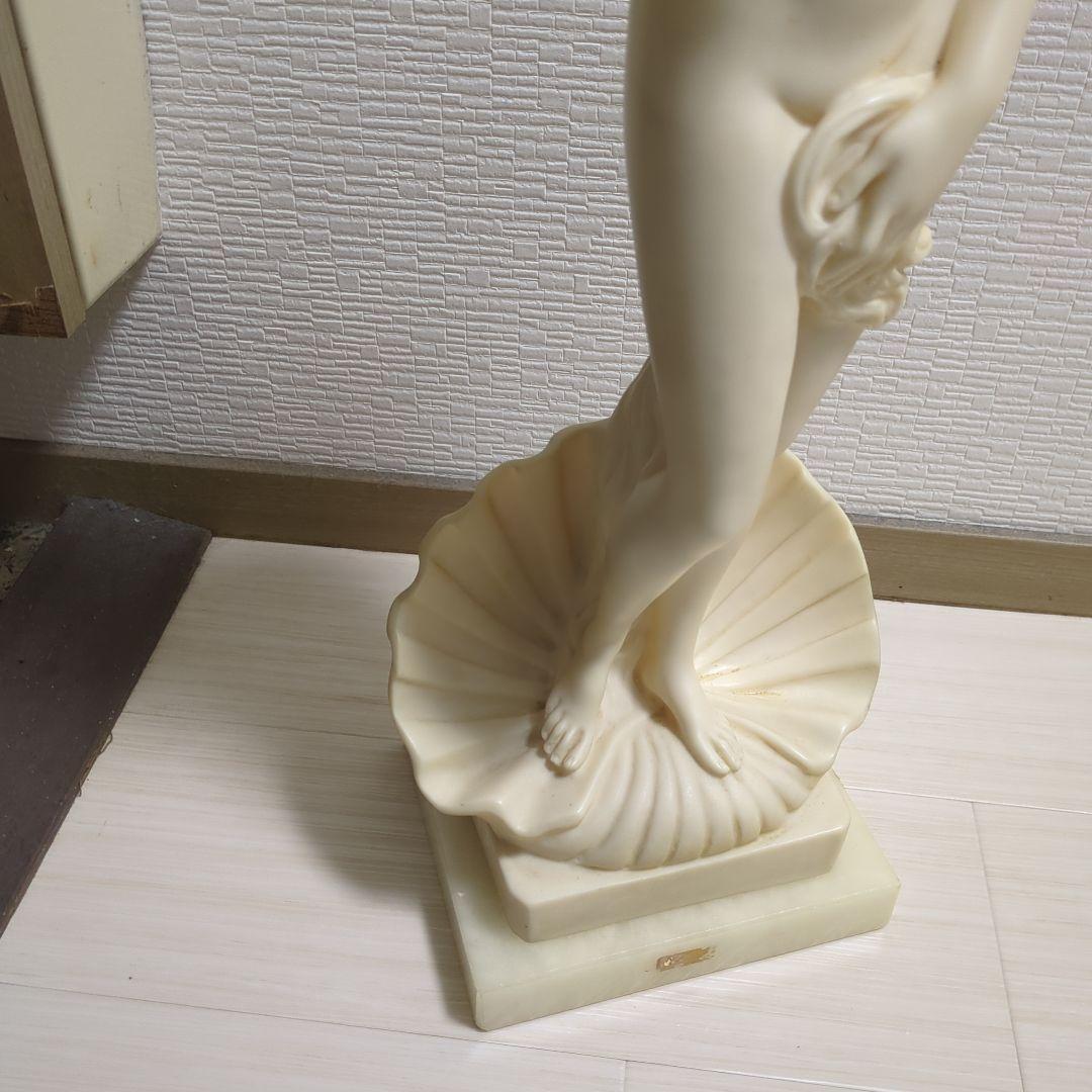 綺麗なヴィーナス像