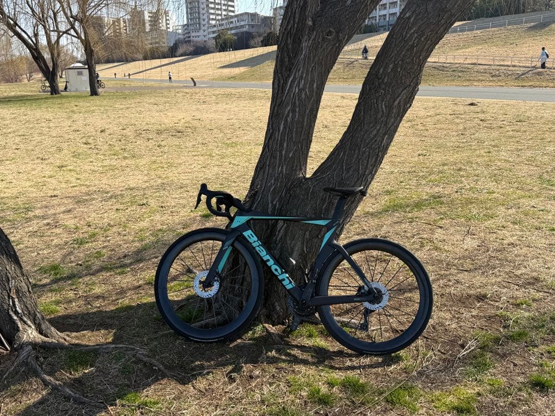 Bianchi Oltre Pro 2024ロードバイク フレームセット