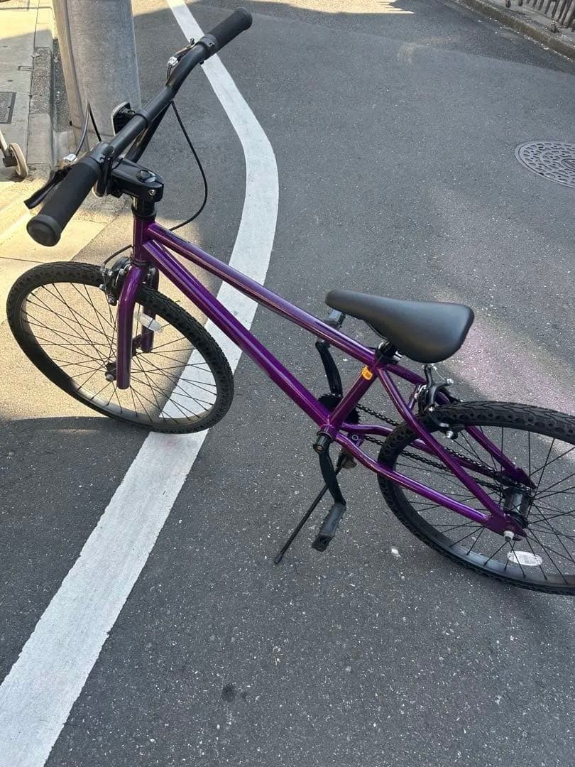 ライダーズカフェ　EASY 24inc BMX パープル
