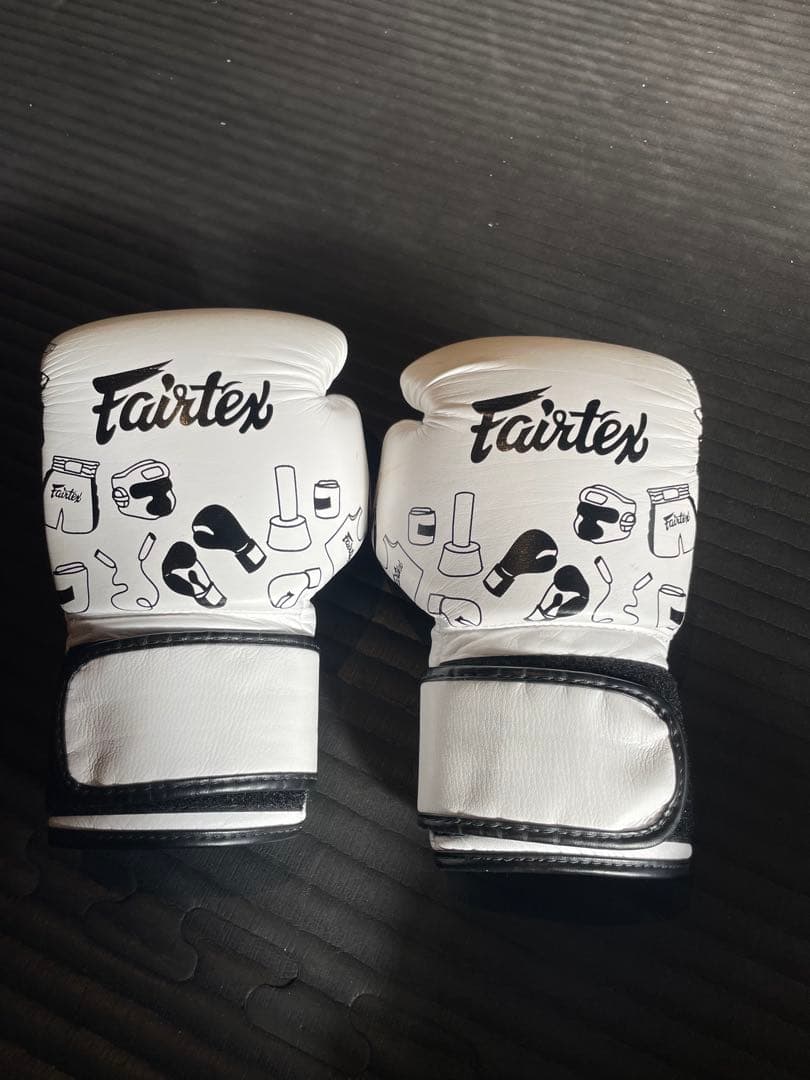 Fairtex ボクシンググローブ 10oz ホワイト