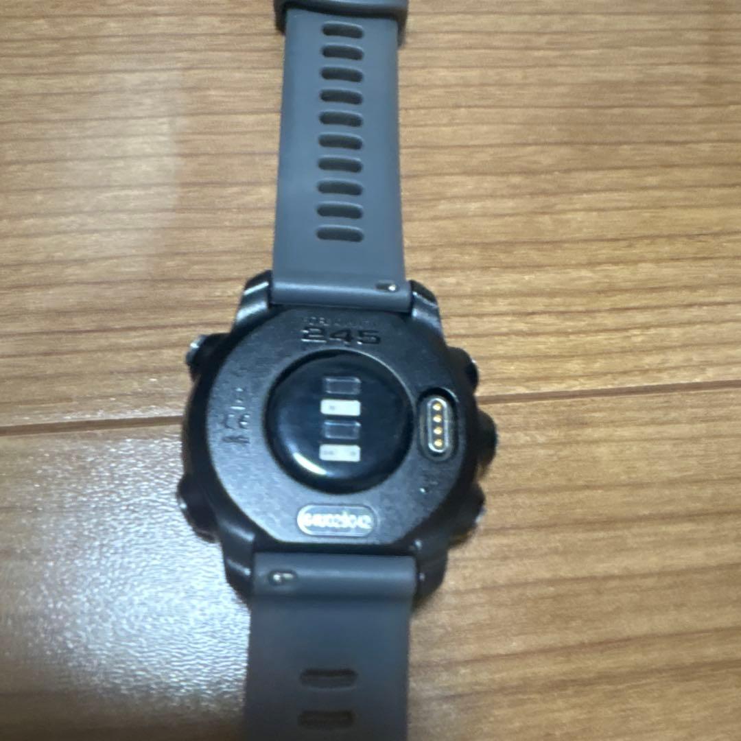 その他 Garmin245