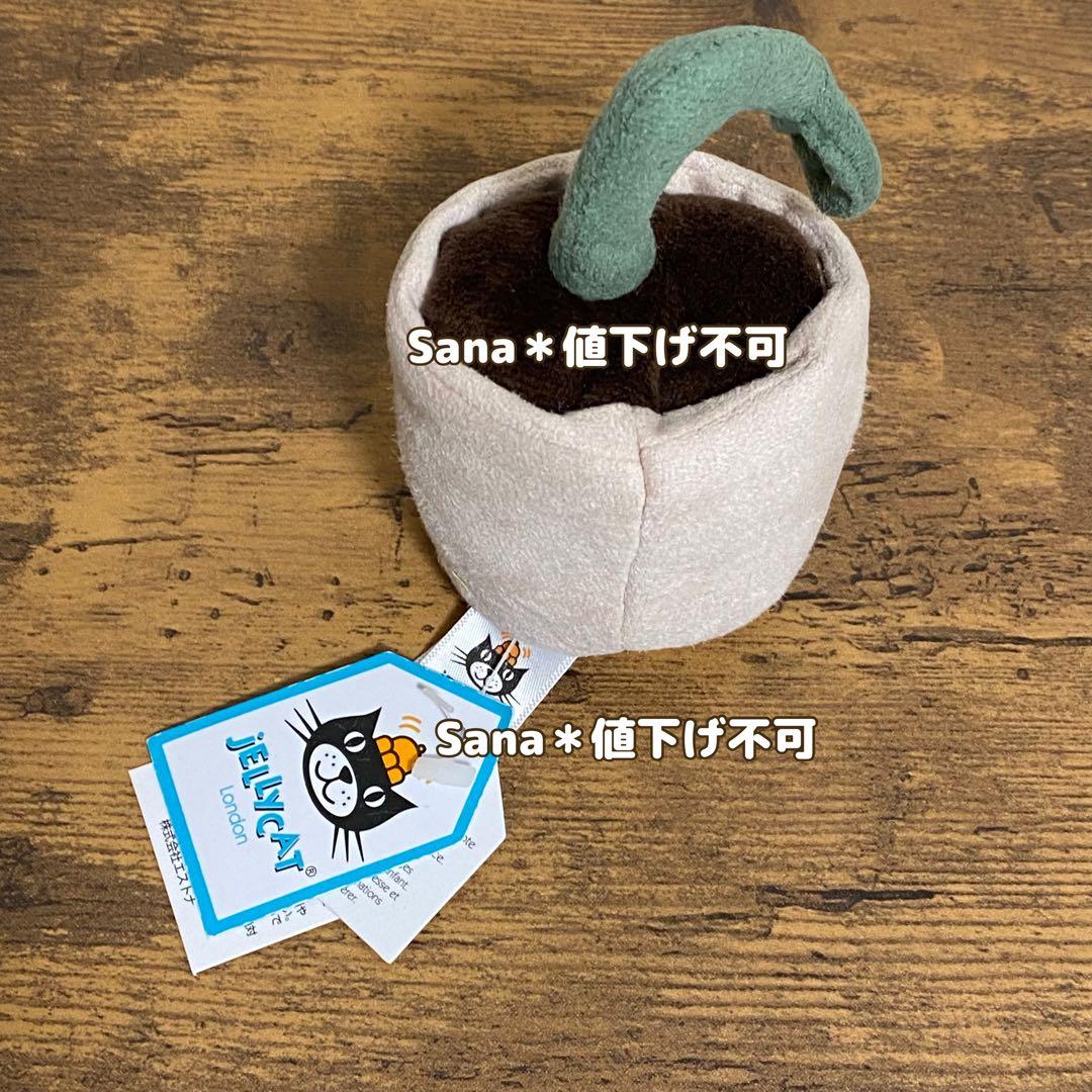 廃盤　新品　 Silly Seedling Serene 植物