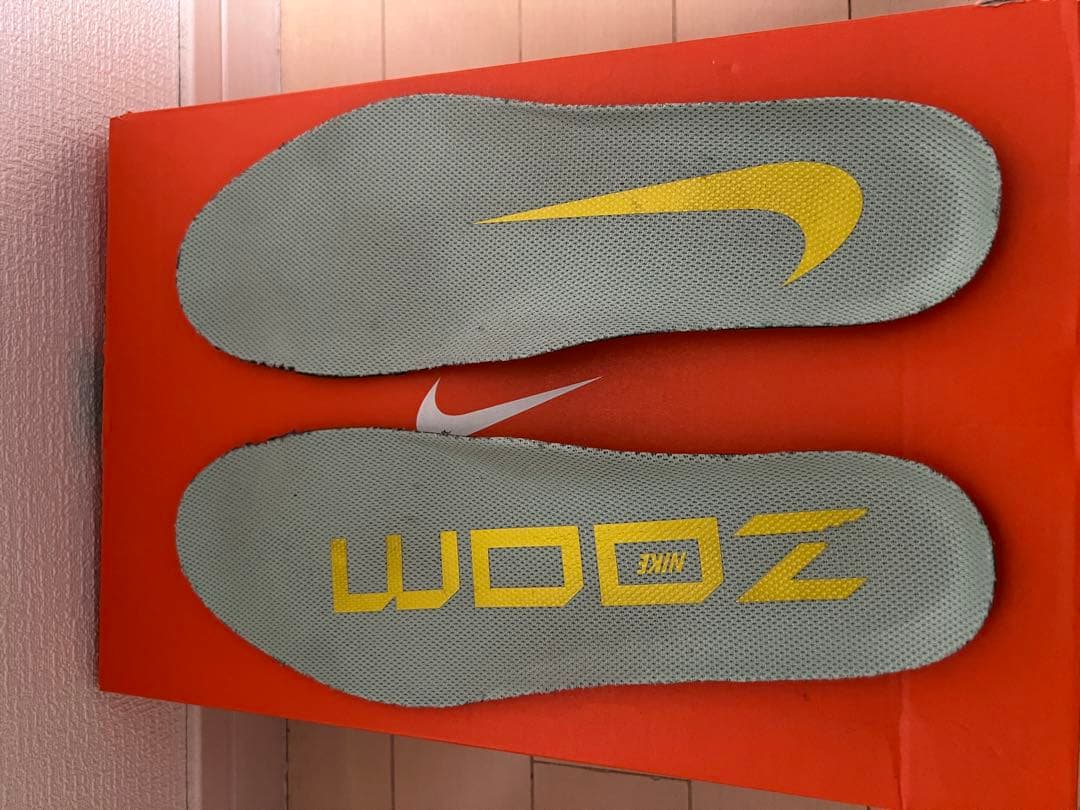 ナイキ エアズームペガサス39|NIKE Air Zoom Pegasus 39