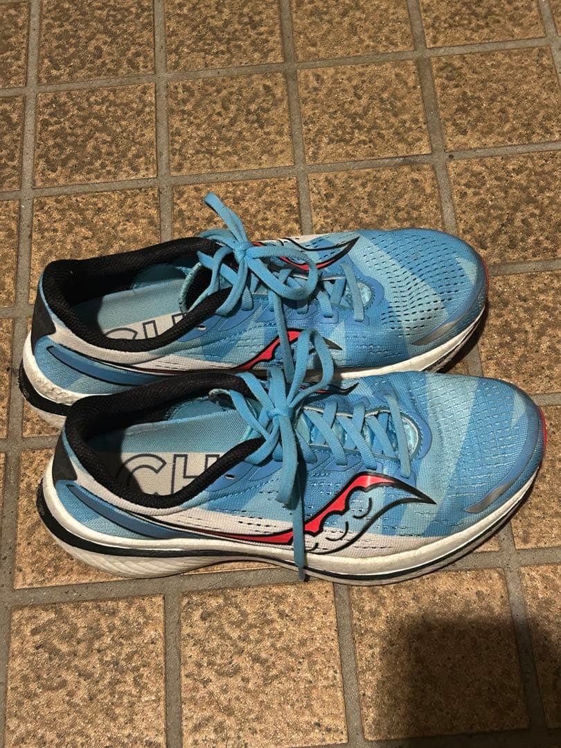Saucony Endorphin Speed 青