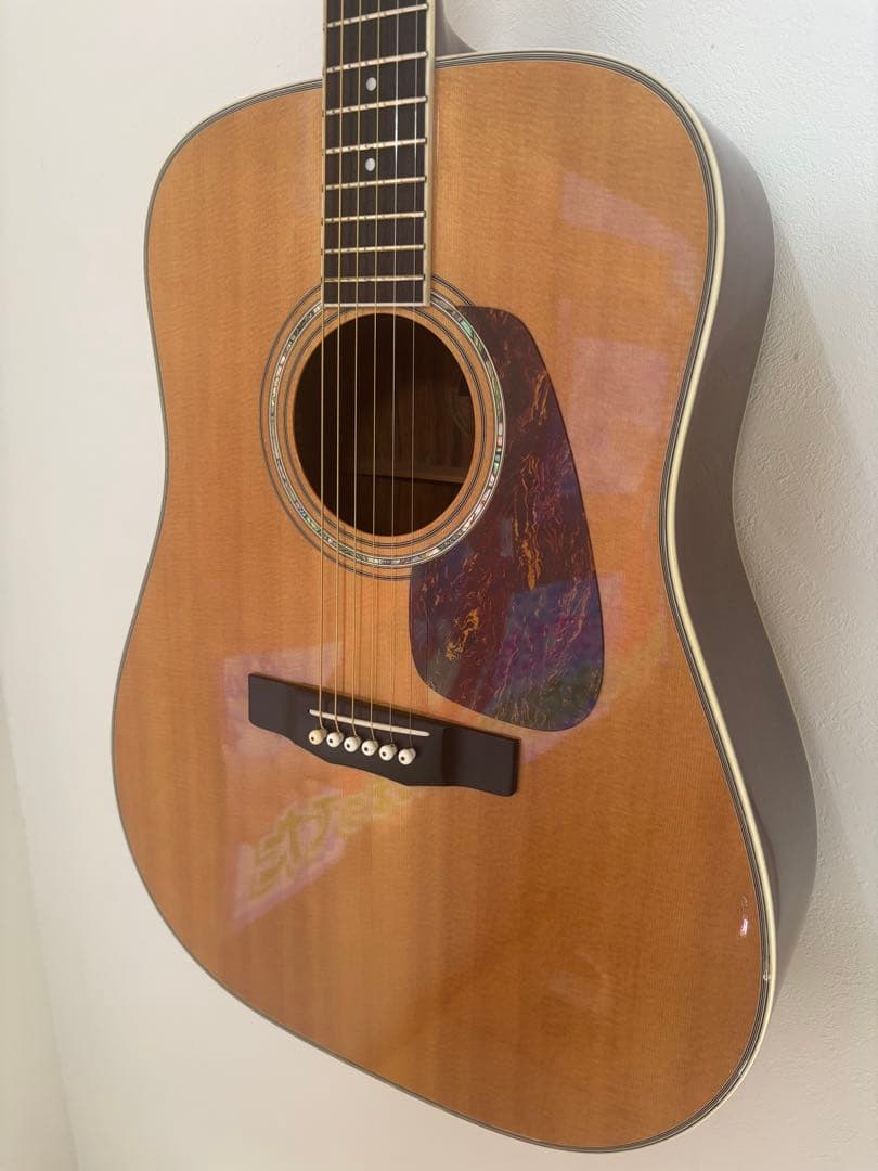 Morris モーリス　M-601 ハカランダ　ギター　m-50