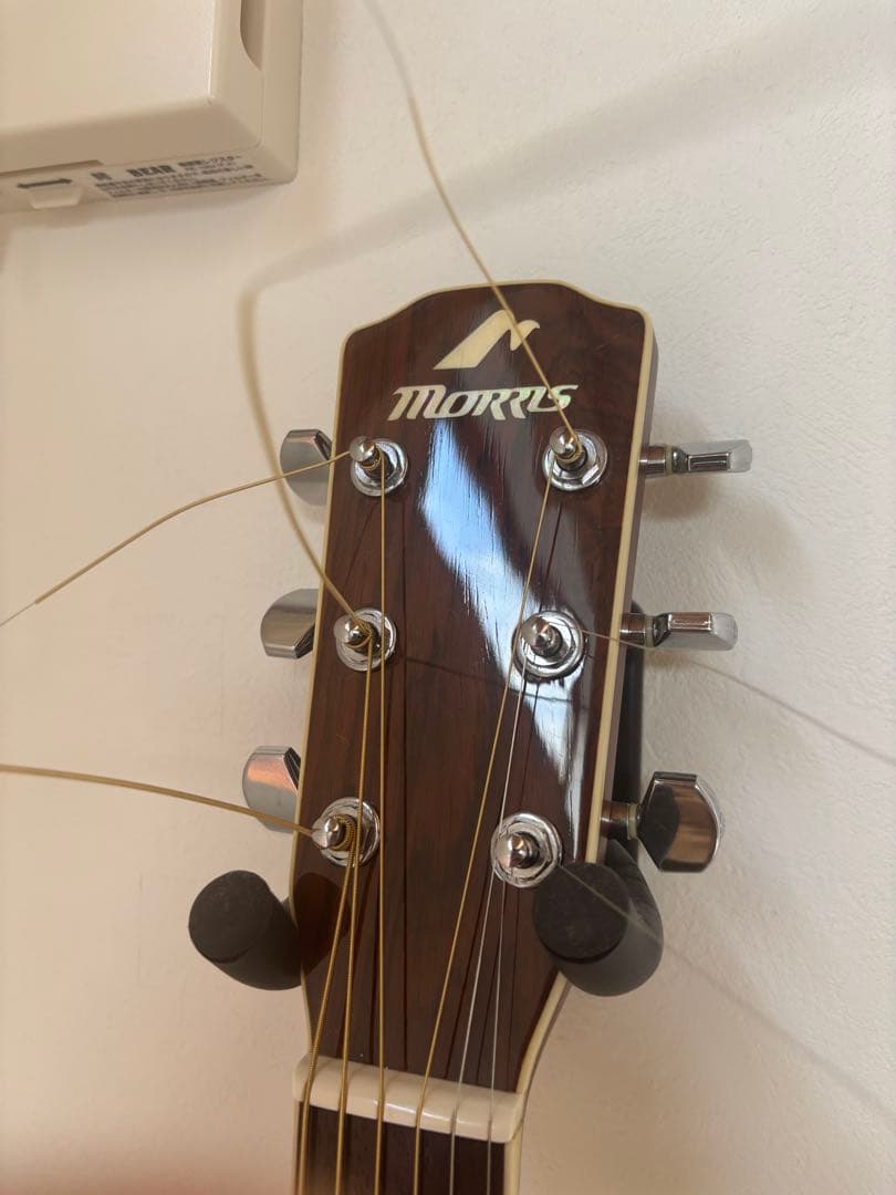 Morris モーリス　M-601 ハカランダ　ギター　m-50