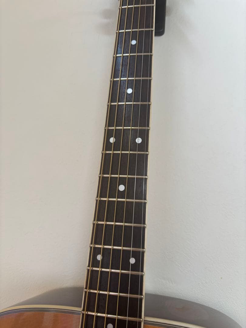 Morris モーリス　M-601 ハカランダ　ギター　m-50