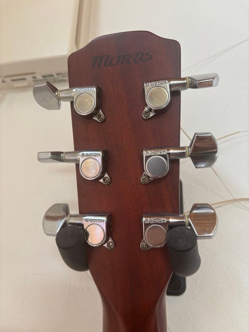 Morris モーリス　M-601 ハカランダ　ギター　m-50