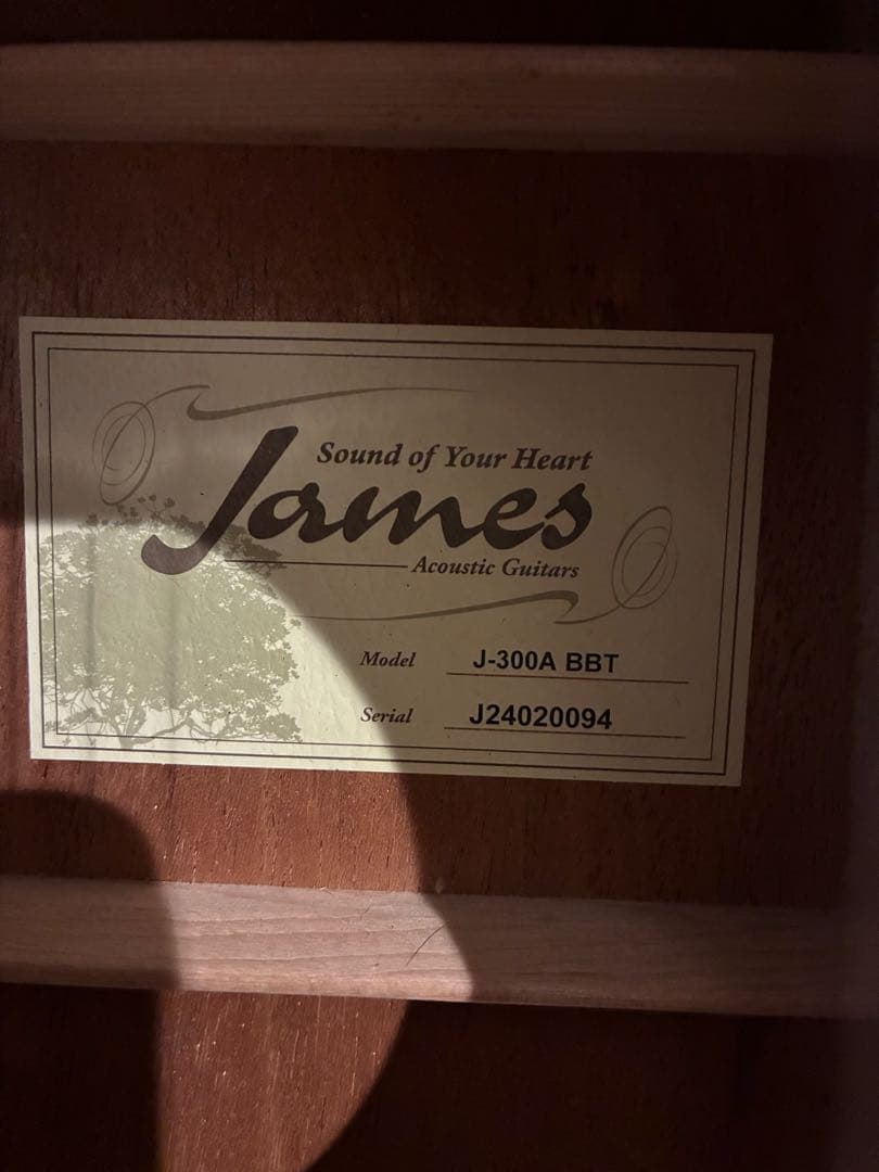 【超美品】James J-300A トップ単板